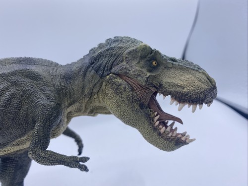 Papo T-REX Dinosaur Moving Jaw Green Tyrannosaurus Rex Collectible Figure - Picture 3 of 9