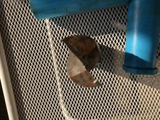 2 x 3“ carbide milling machine bit Helical End 2”