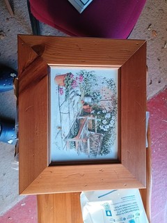 Framed Cat Print Michael Cooper