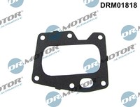 Dr. Motor Automotive DRM01818 Dichtung,Agr-Ventil FüR CitroëN,Ds,Fiat,Ford,Ford
