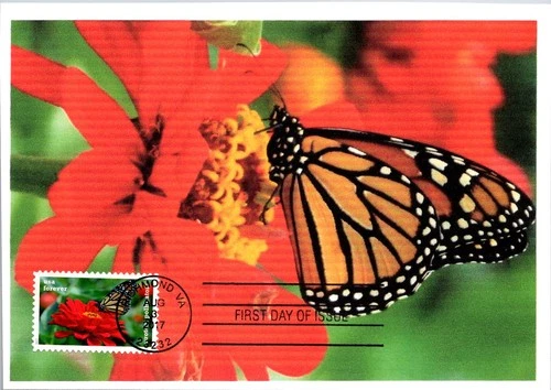 Dr Jim Stamps Maximum Card Monarch Butterfly Forever Fdc