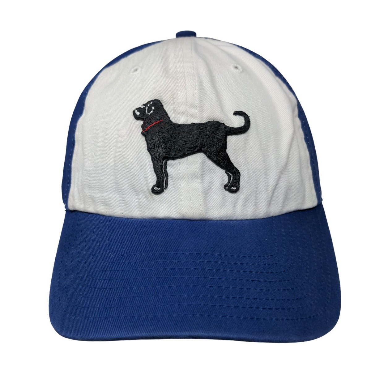 Black Dog Slideback Hat Multi One Size Embroidered Colorblock '47