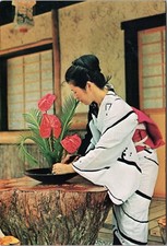 Postcard Daytona Florida FL Marco Polo Park Ikebana Demonstrator Arranges Flower