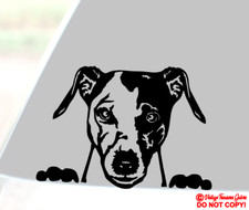 JACK RUSSELL TERRIER Vinyl Decal Sticker Car Rear Window Bumper DOG PUPPY ANIMAL