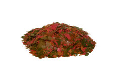 Ken's Ultra Guppy Flake