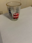 SOUVENIR SHOT GLASSES - 8 LN - Fun variety from a variety of places! — photo 7