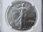 NobleSpirit 2025 W American Burnished Silver Eagle 1oz NGC MS 70 Uram Signature