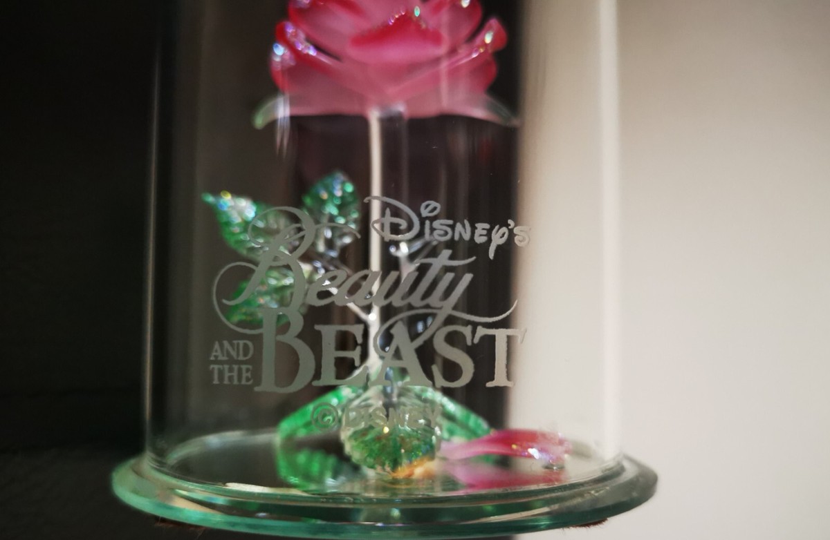 La Belle Et La Bête Rose En Dessin Sur Verre