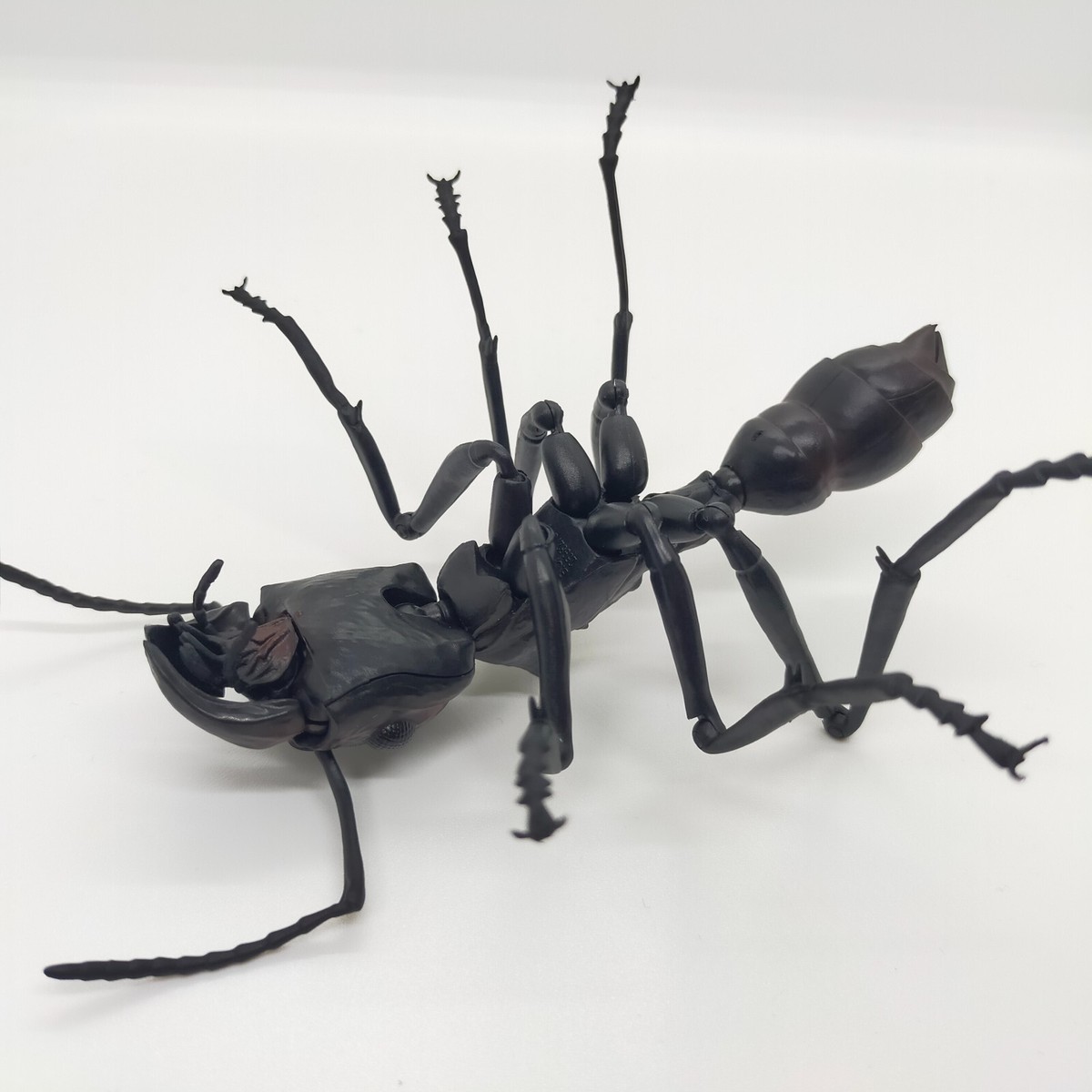 Bandai Gashapon Ant Figure 4.7 inch Big Realistic Paraponera
