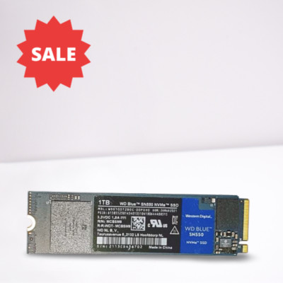 WD SN570 1TB High-Performance M.2 PCIE NVMe SSD - Blau (WDS100T3BOC))
