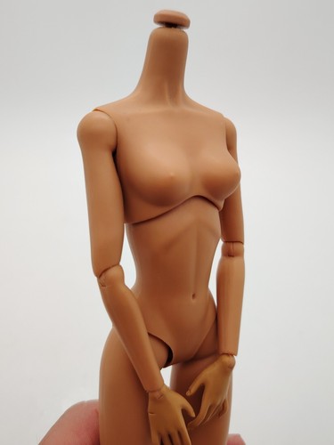 Fashion Royalty Hispanic Skin Poppy Parker 1/6 Scale Female Integrity Doll Body - Bild 11 von 13