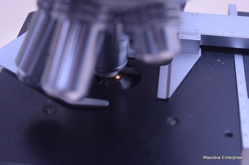 MICROSCOPIO LEITZ WETZLAR SM-LUX TIPO 020-441.004 - Imagen 11 de 12