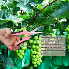 3pc Heavy Duty Pruning Shears Set Stainless Steel Sharp Garden Scissors Pro