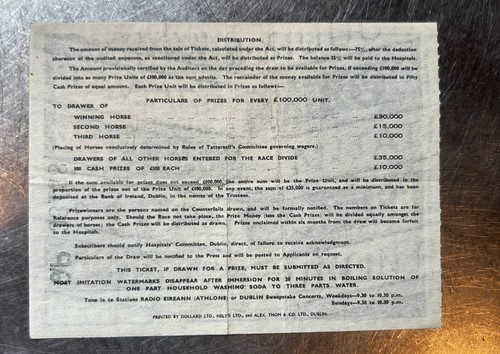 Biglietto Lotteria Ospedali Irlandesi 1939 Corsa di Cavalli Gran Nazionale Ecc. Condizioni - Foto 4 di 4