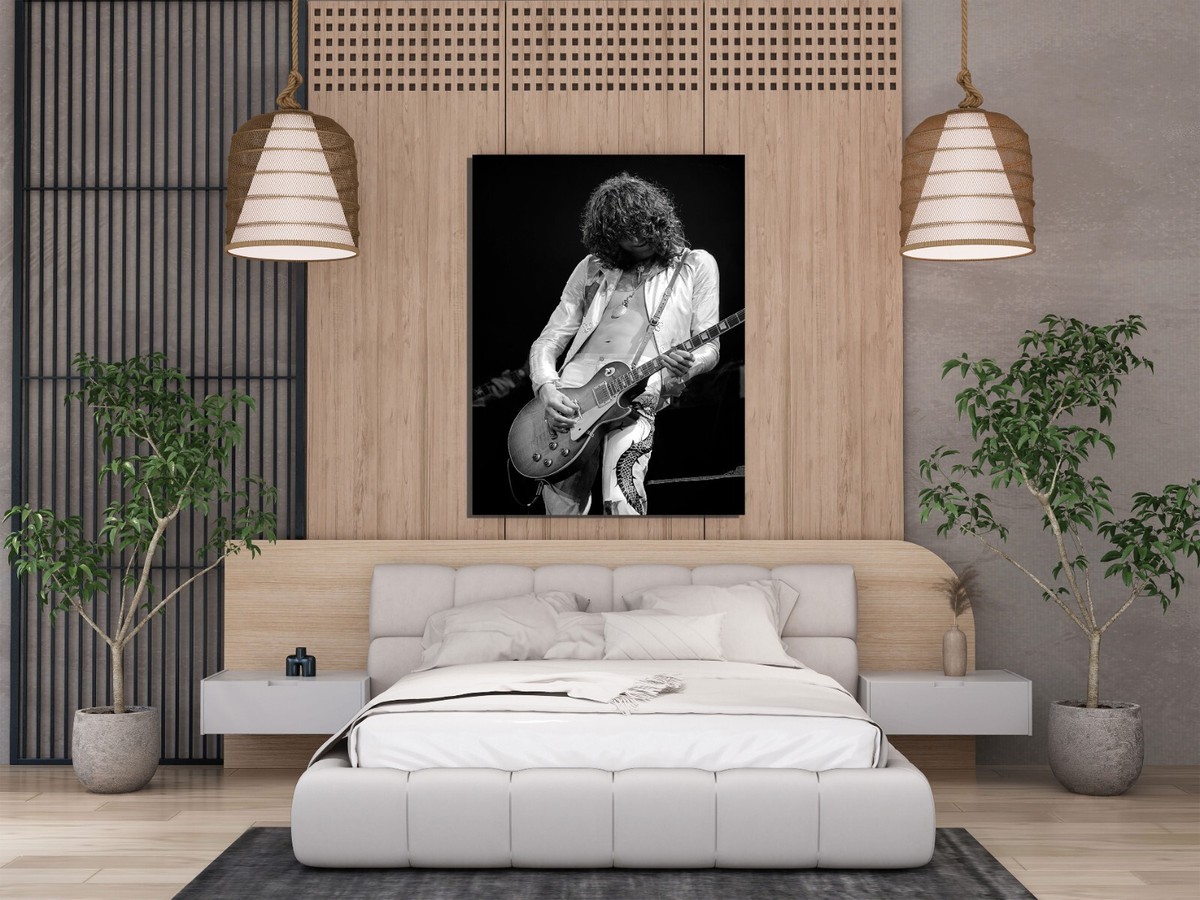 Jimmy Page Poster 24x36 Inch Live Concert Photo Rare Wall