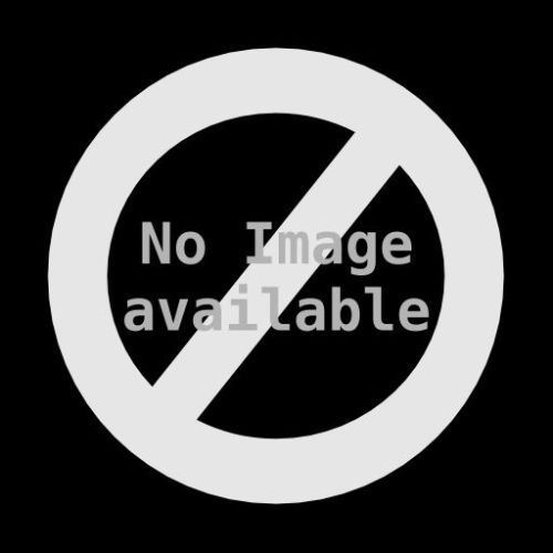 Superior Fd42p Fixed Platinum Glass Door For 42 Fireaplace For