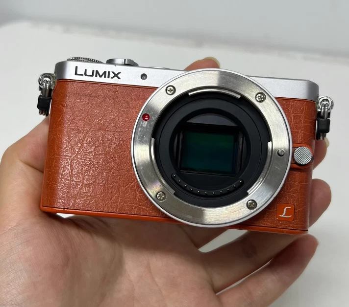 Panasonic LUMIX GM1 14-16.9MP Digital Cameras for Sale | Shop New