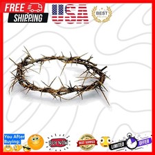 Authentic Biblical Lifesize 8" Crown of Thorns w/ Certificate