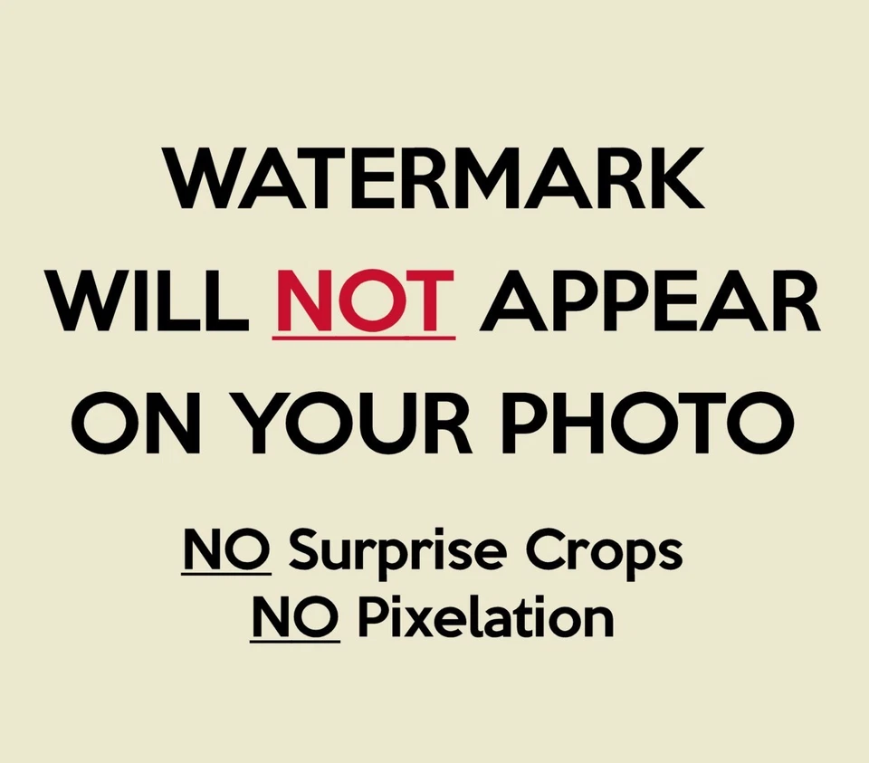 JOE DiMAGGIO YOGI BERRA WHITEY FORD Photo New York Yankees 8x10 11x14 16x20 MP5 - Image 2 of 4