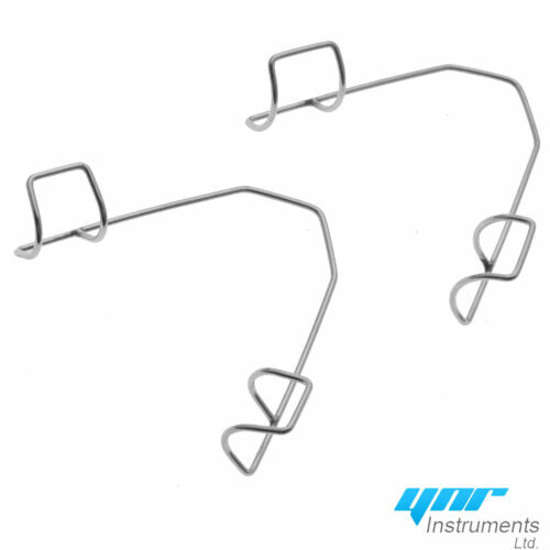 Servizio Di Ecografia Oculistica Veterinaria - Foto 9