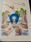 Bild 4 von 5
