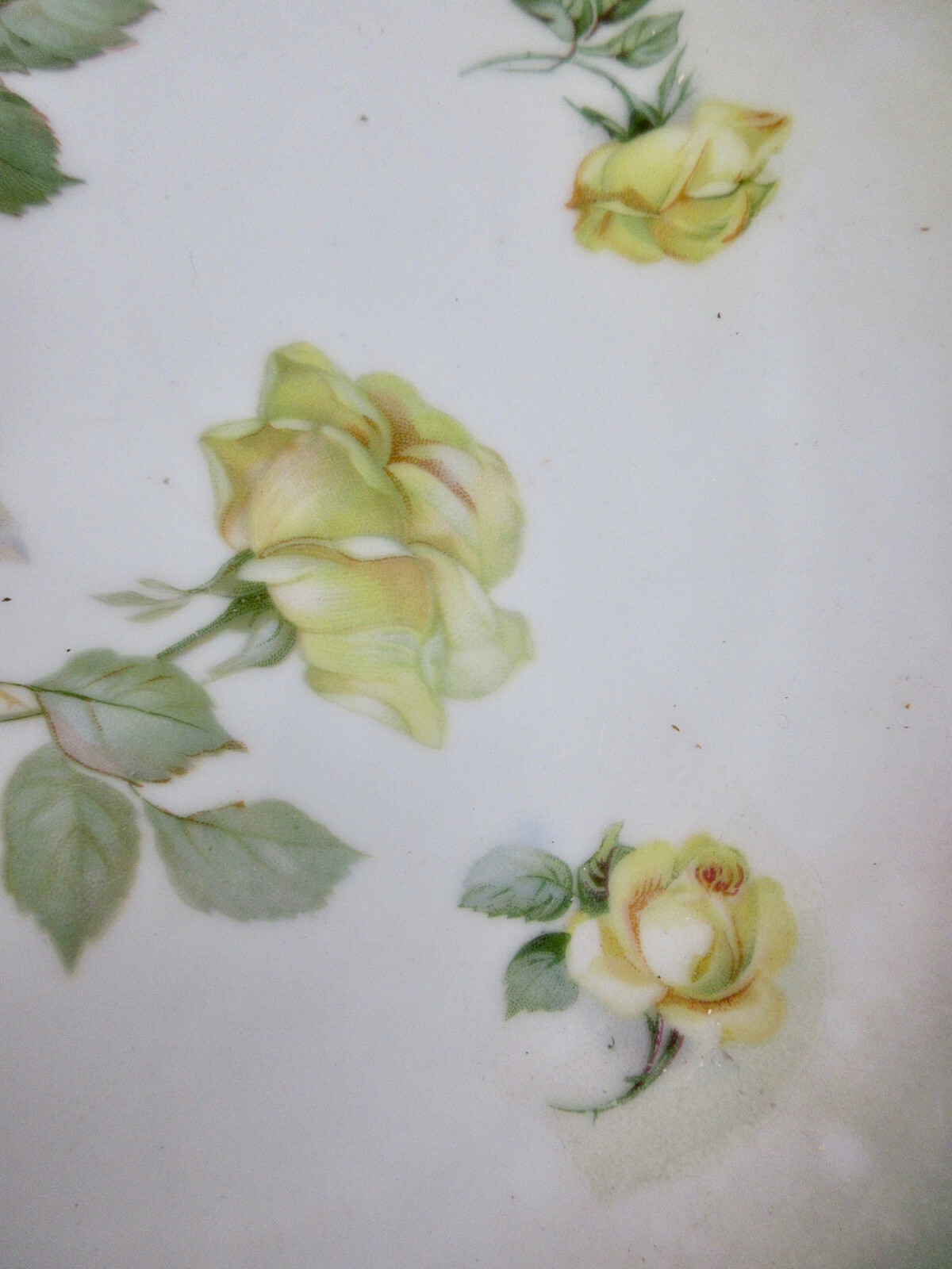 Picture 5 of 7