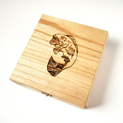 bass fishing wood box Bass Fish Wooden Box 7.5