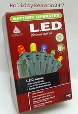 20 LED BATTERY OPERATED PORTABLE LIGHT Multi or White Christmas Holiday Window
