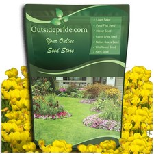 Perennial Birdsfoot Trefoil Seed - 10 lbs Nitrocoated, Inoculated, Winter Har... 12.68 per gallon