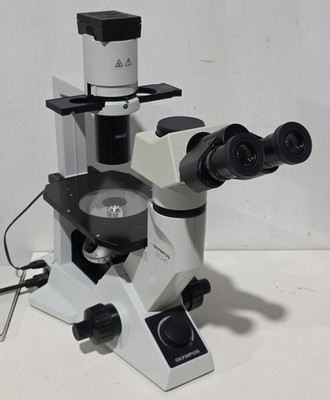 Olympus CKX41 Inverted Phase Contrast Tissue Culture Microscope CKX41SF