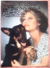 Photo BRIGITTE BARDOT vrai autographe (15 x 21 cm) Signed Chien 1989