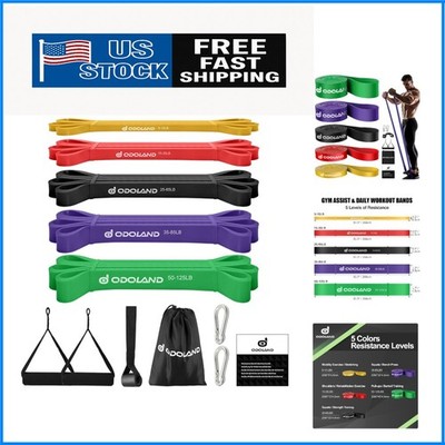Durable Resistance Bands Set with Adjustable Handles for Powerlifting & Mobility