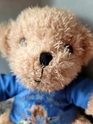 Taylor Swift Fearless Teddy Bear Very Rare | eBay