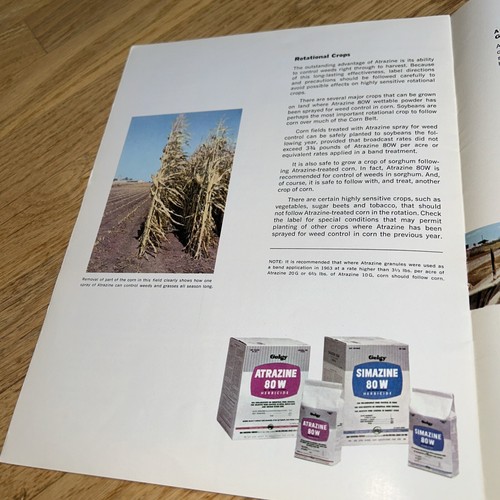 1970's GEIGY AGRICULTURAL CHEMICALS Brochure - Geigy Chemicals Ardsley N.Y. - Foto 7 di 9