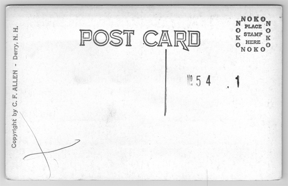 Profile Lake Franconia Notch White Mountains NH RPPC C1920's Postcard