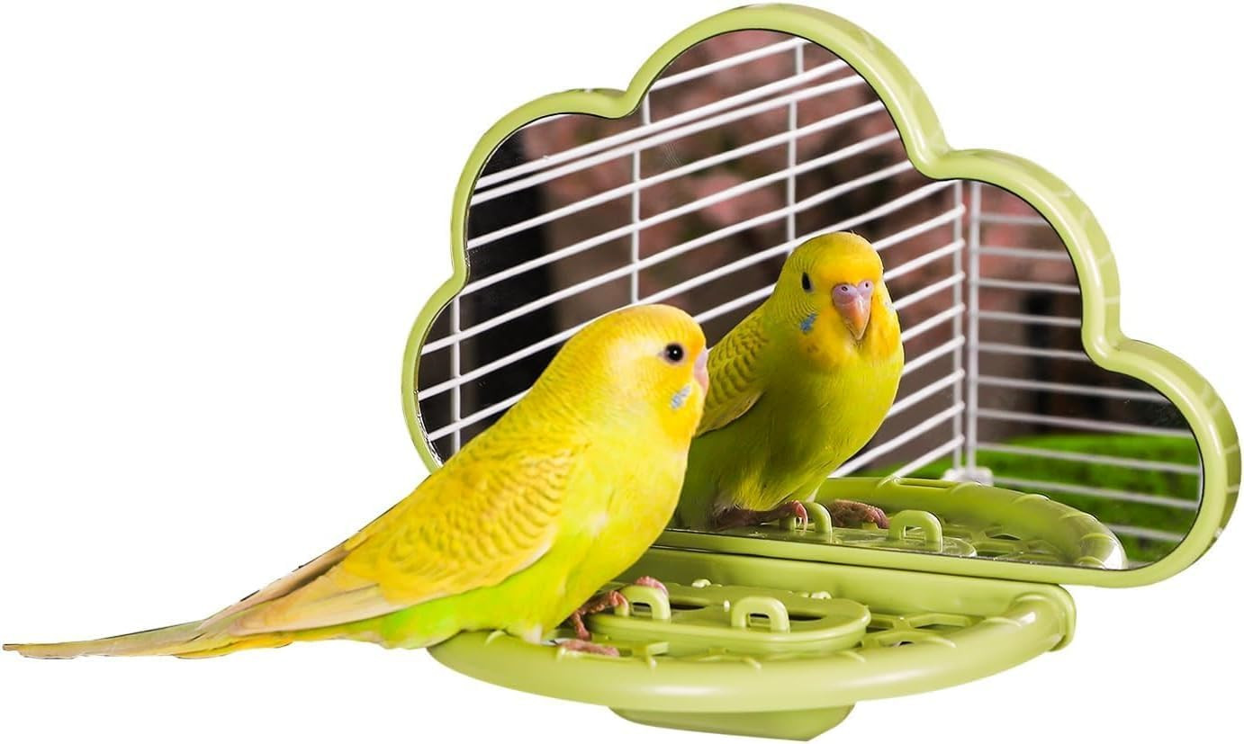 Bird Mirror with Perch Stand, Bird Toys for Budgie Parakeet Cockatiel Conure Lov