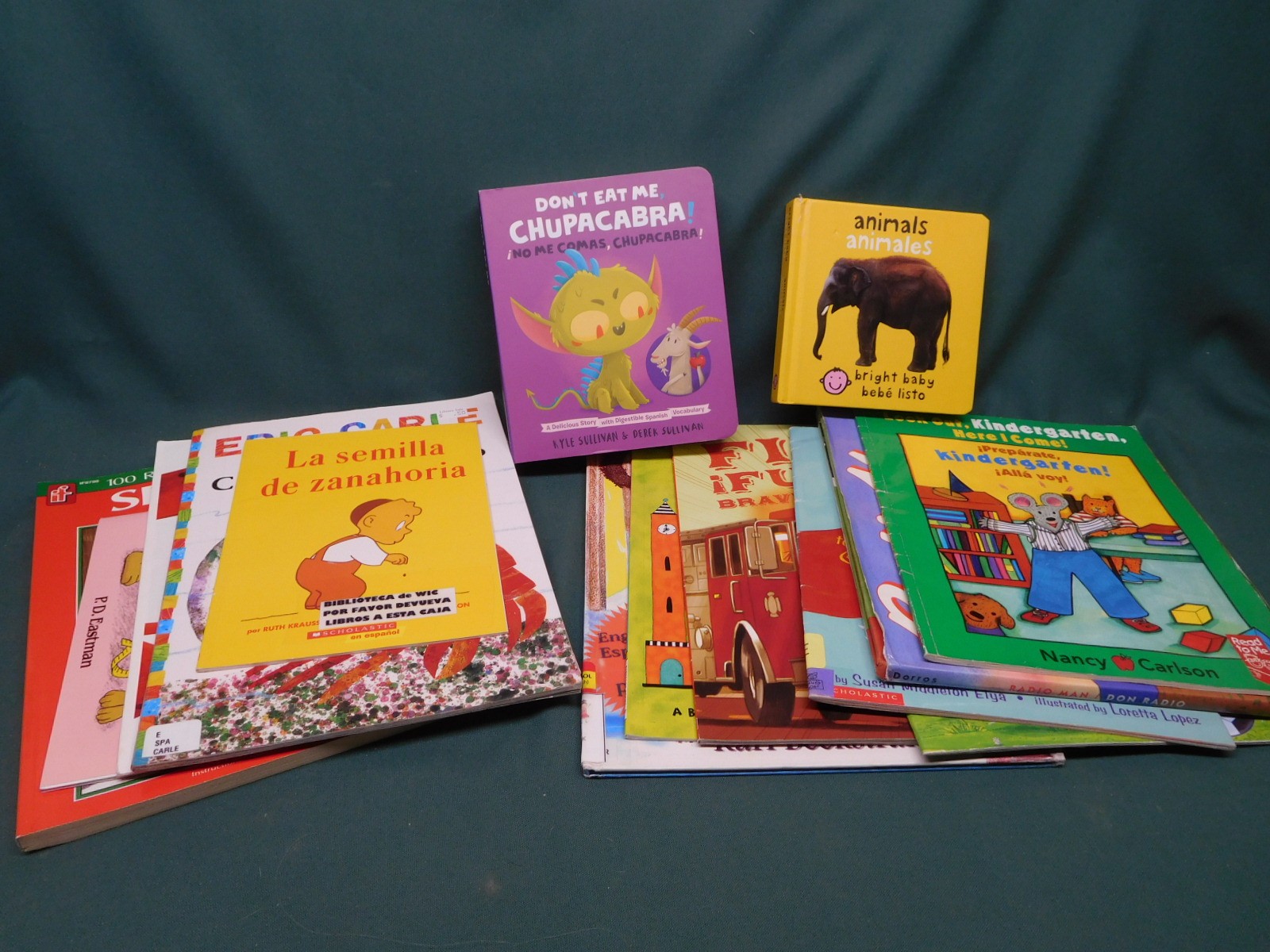 Lot  of 14 Spanish English children's picture books