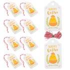 100 Stück bunte Küken Geschenkanhänger Ostern Etiketten Papier hängen Tag