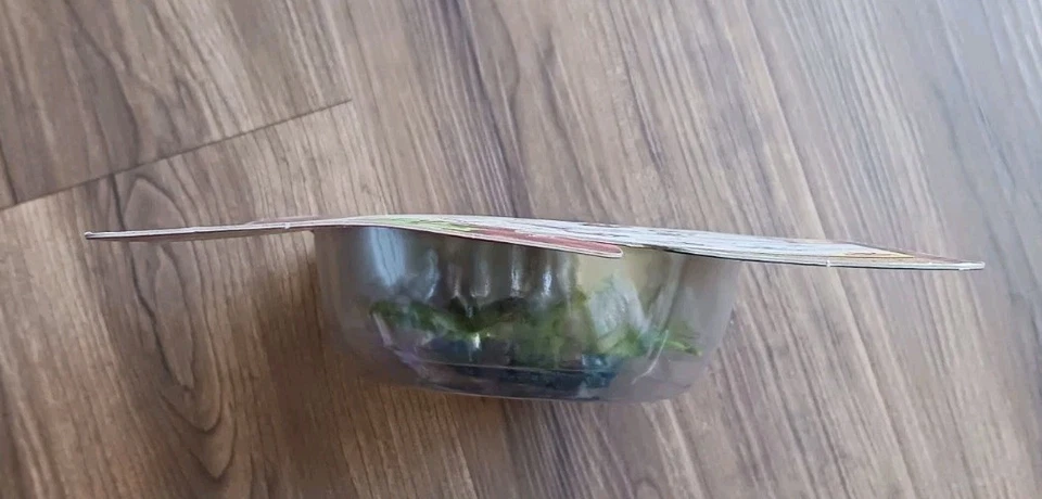 FIGURA TRANSFORMERS BEAST WARS 1995 EVIL PREDATOR INSECTICON KENNER  Foto 3 de 4