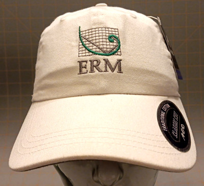 NWT Adj Strapback Ahead Environmental Resources Management ERM Hat Cap NEW