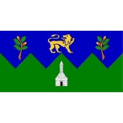 3x5 Wicklow County Ireland Flag Irish Banner Pennant