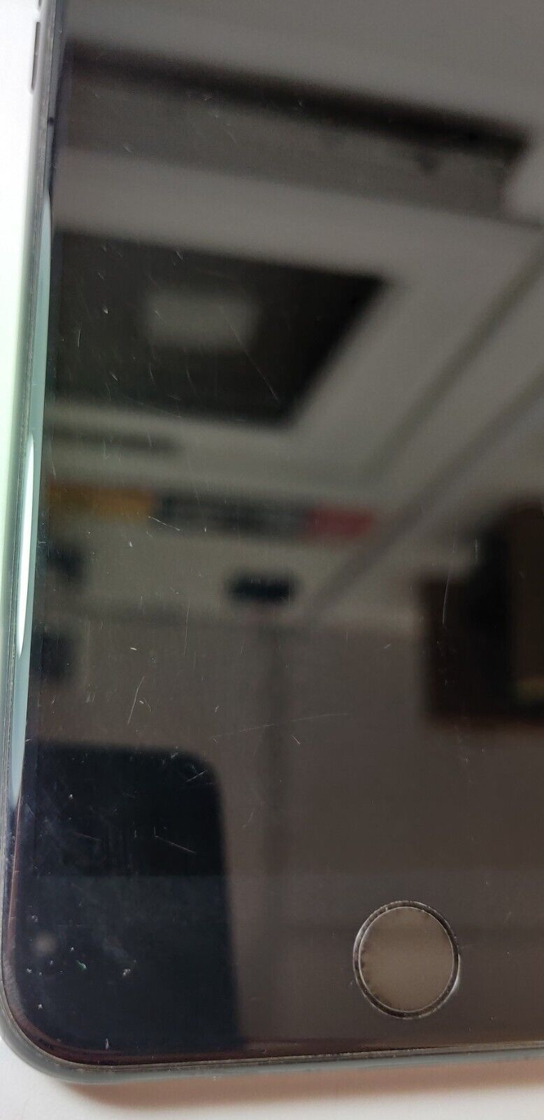 Picture 10 of 10