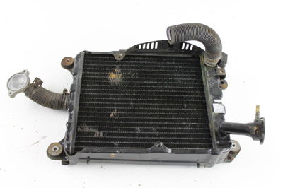 1981 Honda GL1100 Goldwing/81 GL 1100 Radiator | eBay