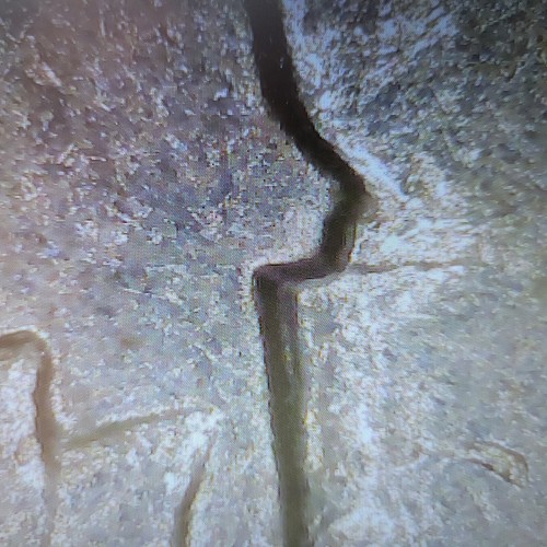1970 Roosevelt Dime W/**DOUBLING & PROOF STYLE REVERSE** - Picture 6 of 7