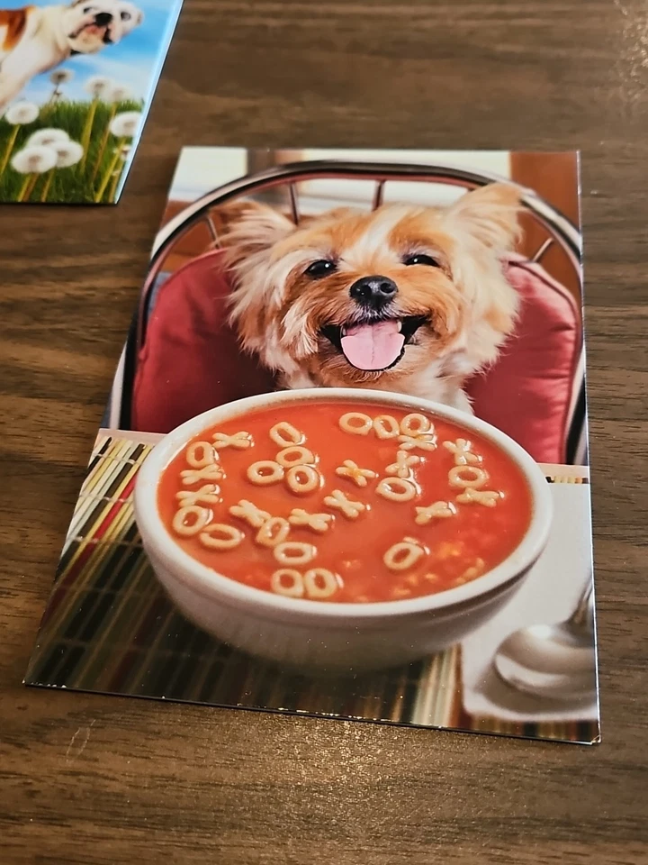 Lot of 3 Dogs Greeting Card Lot Avanti Press USA Happy Birthday Feel Better  - Image 4 of 4