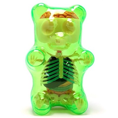 NEW 4D Master Green Gummi Gummy Bear Skeleton Anatomy Model Kit by Jason Freeny