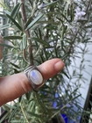 Vintage Brutalist Sterling Silver Oval Moonstone Ring , 7