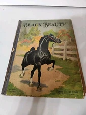 black beauty book