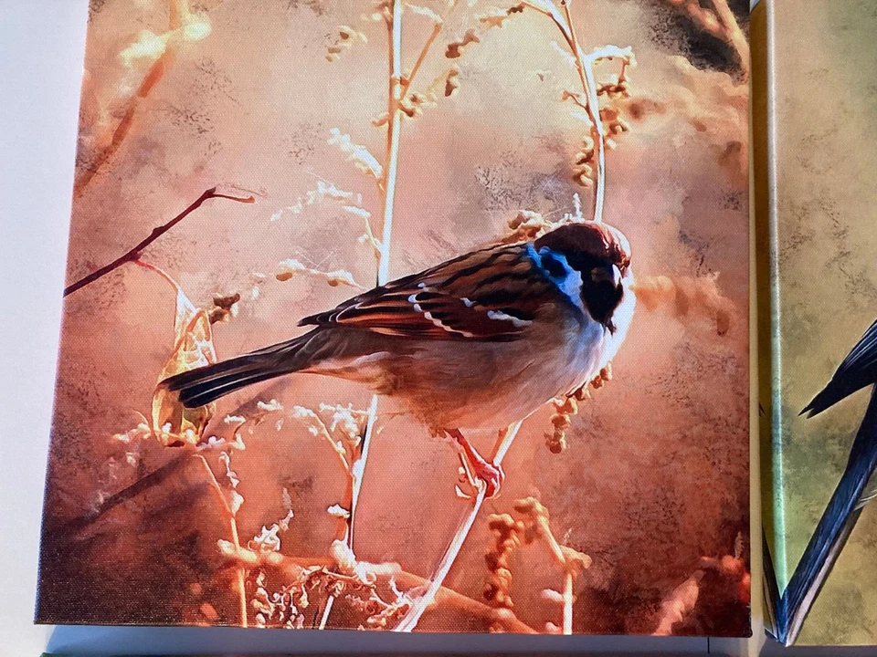 (Set of 4) Yearainn ART 12 x 12 Wall Art Canvas of Colorful Wild Birds in Nature - Image 3 of 4