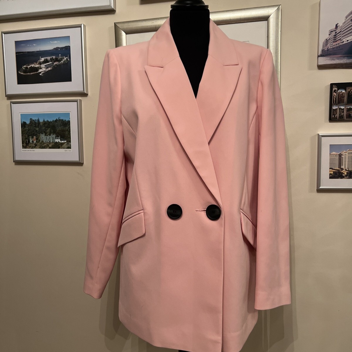 Blazer Shirt Pink Blazer Size 16 DKNY Blazer Women's Size 16 Zip